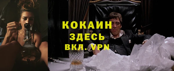 spice Белокуриха